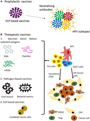 Targeting Head and Neck Cancer by Vaccination